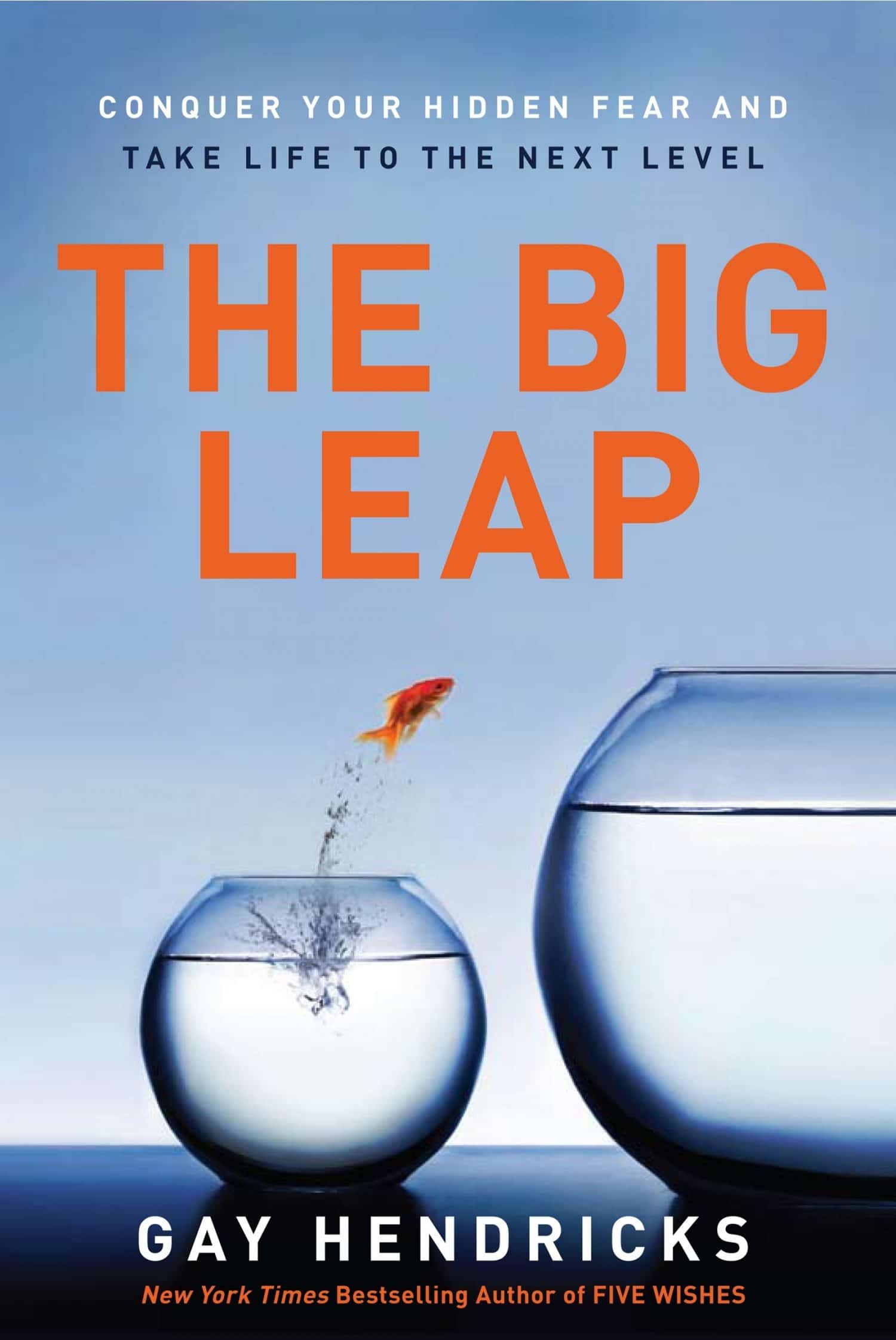 My issues with “The Big Leap” ~a book review