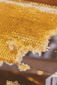 taui-honeycomb
