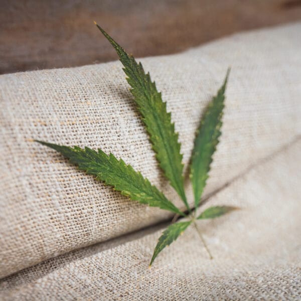 The High-Vibe Fabric Facts: Why Hemp is the Best